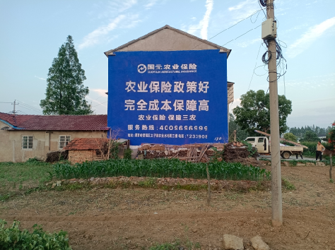 遂昌墙体广告为何受追捧?